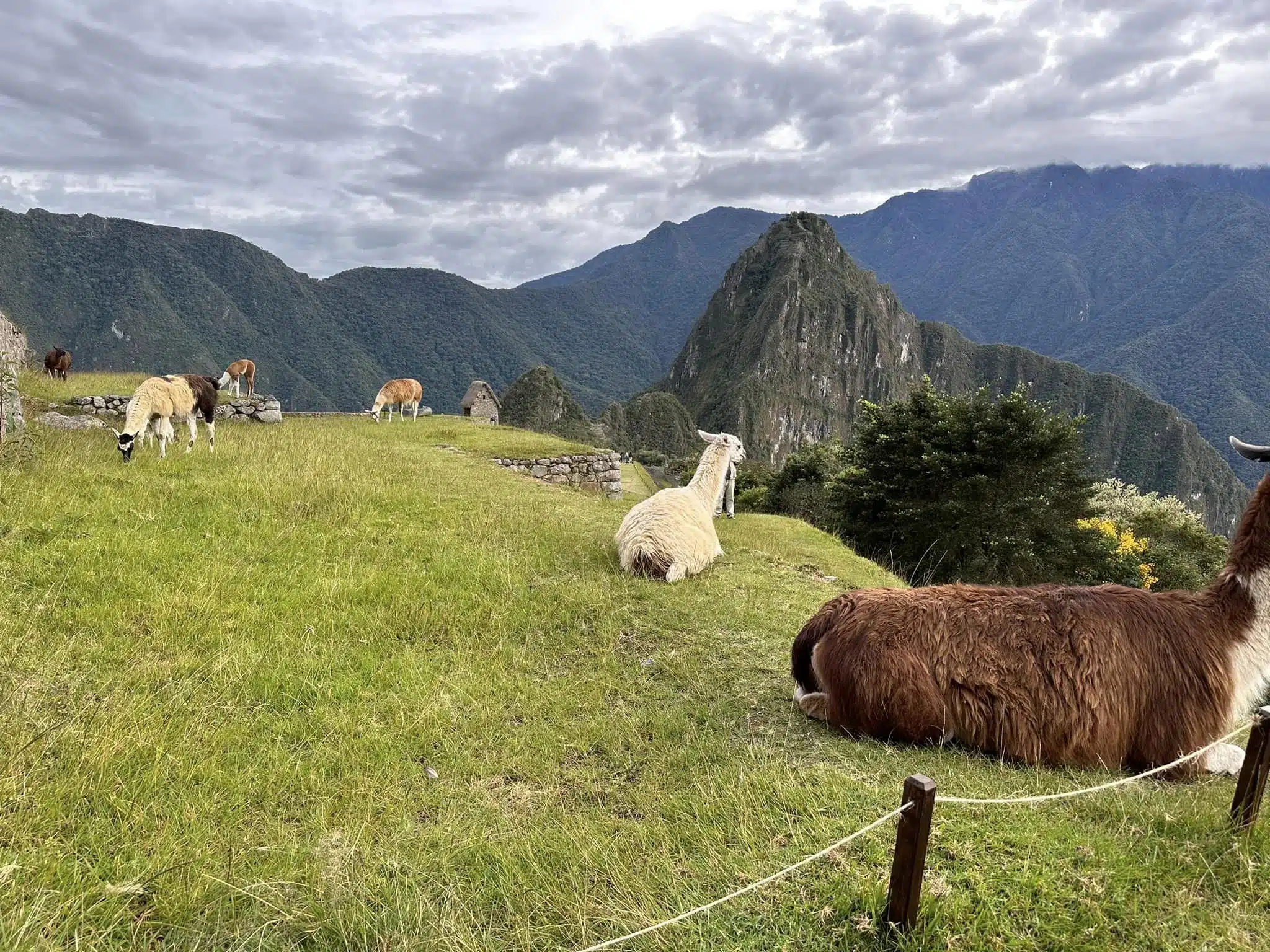  Photo of MachuPicchu mountain