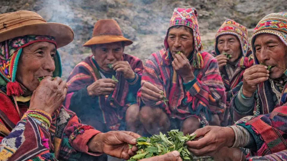 Consumo de la hoja de coca