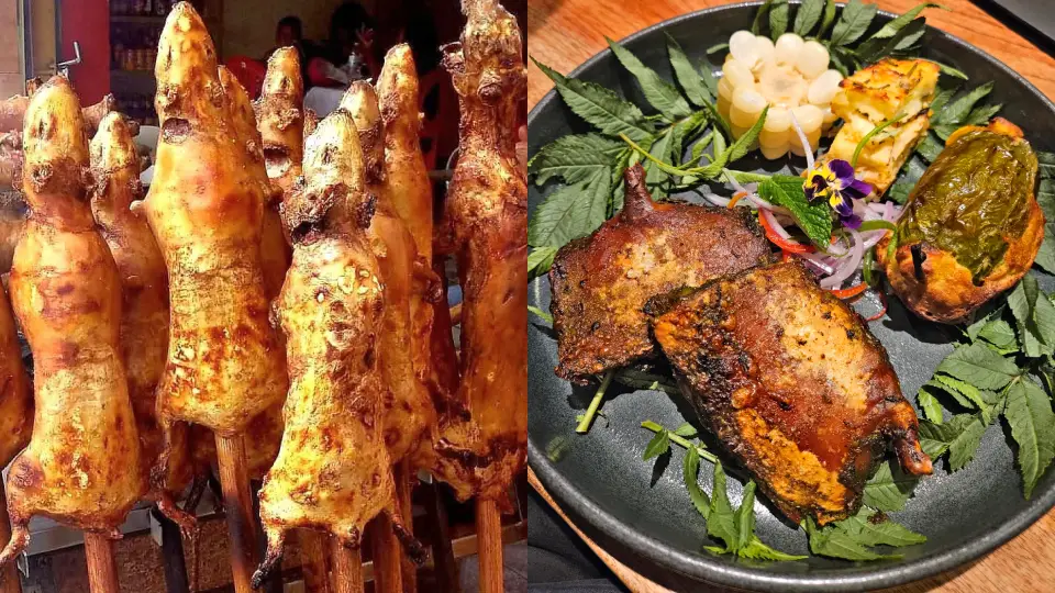 guinea pig on the stick