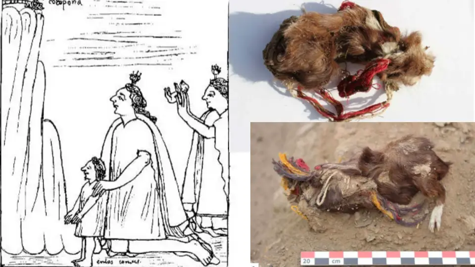 Guinea pig sacrifice in Inca times
