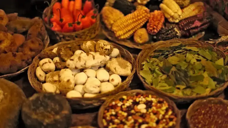 Coca leaf as sacred food