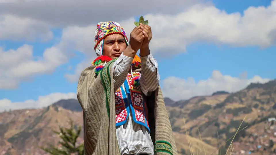 kintu with coca leaves