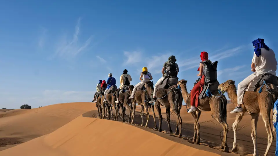 Turistas disfrutando de un paseo en camello en Ica