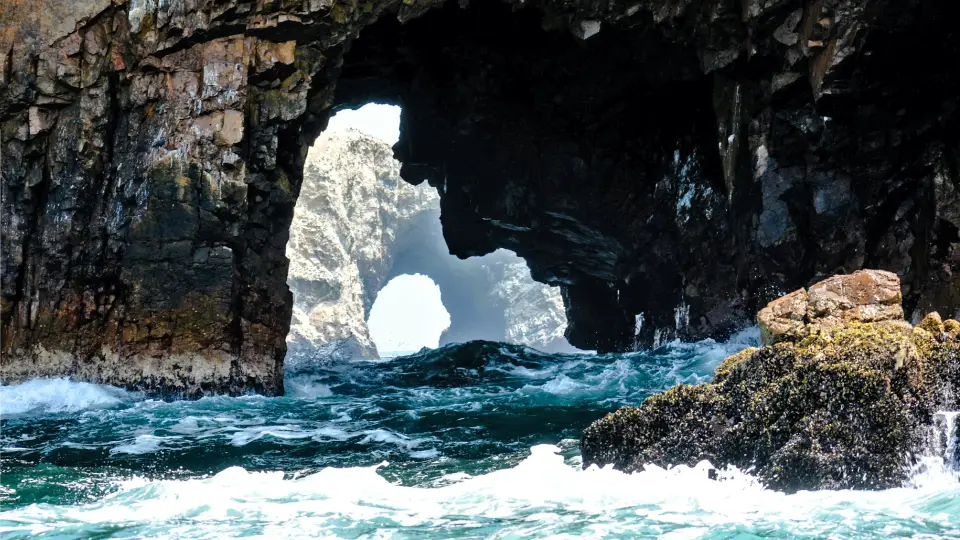 Reserva nacional de Paracas