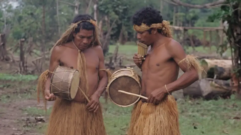 Instrumentos musicales más usados en la selva peruana