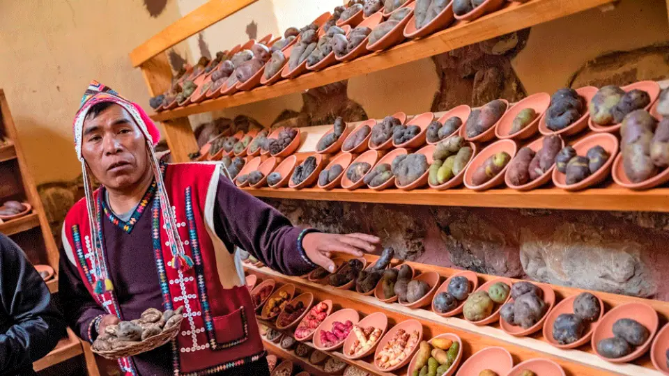 Parque de la papa - Paru Paru Pisac