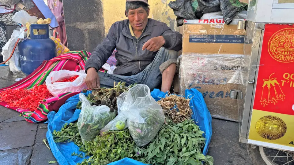 Plantas medicinales en semana santa
