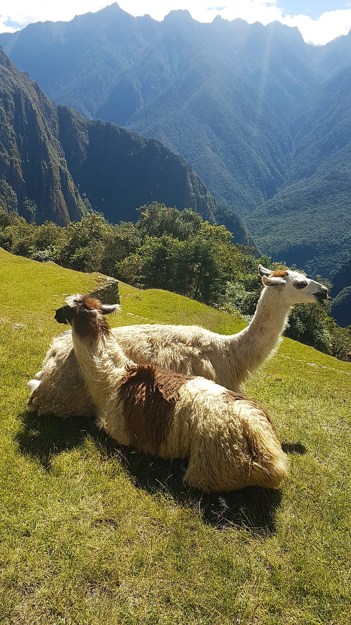 Thumbnail of Explorando la altitud de Cusco y sus efectos en los visitantes