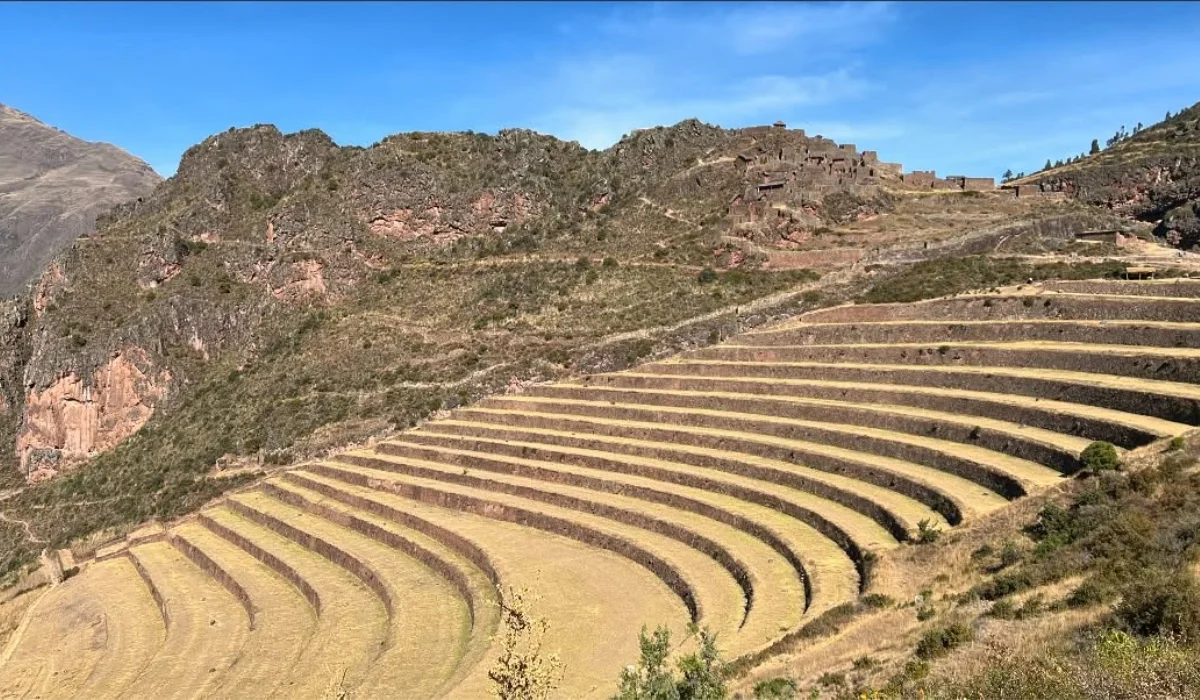 Inca Agriculture