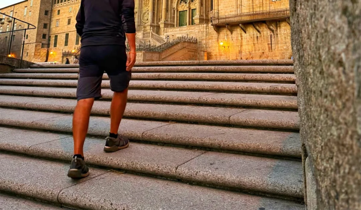 Trekking Training Climbing Steps
