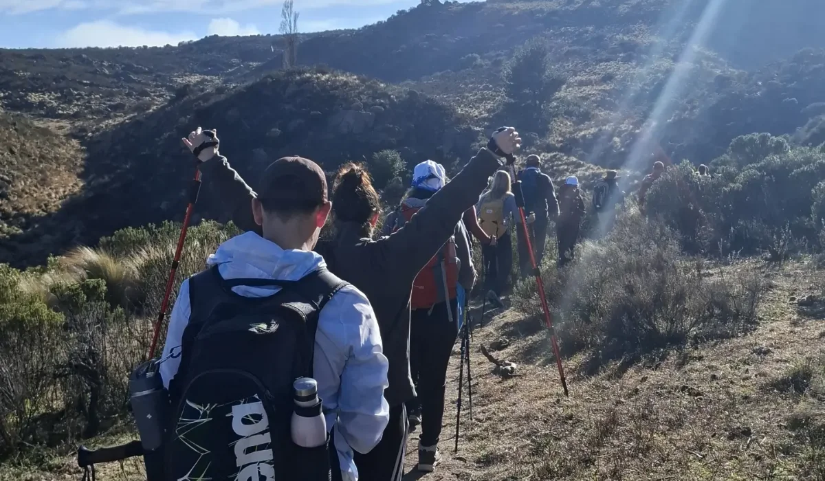 What Is the Best Inca Trail Fitness Plan for Beginners