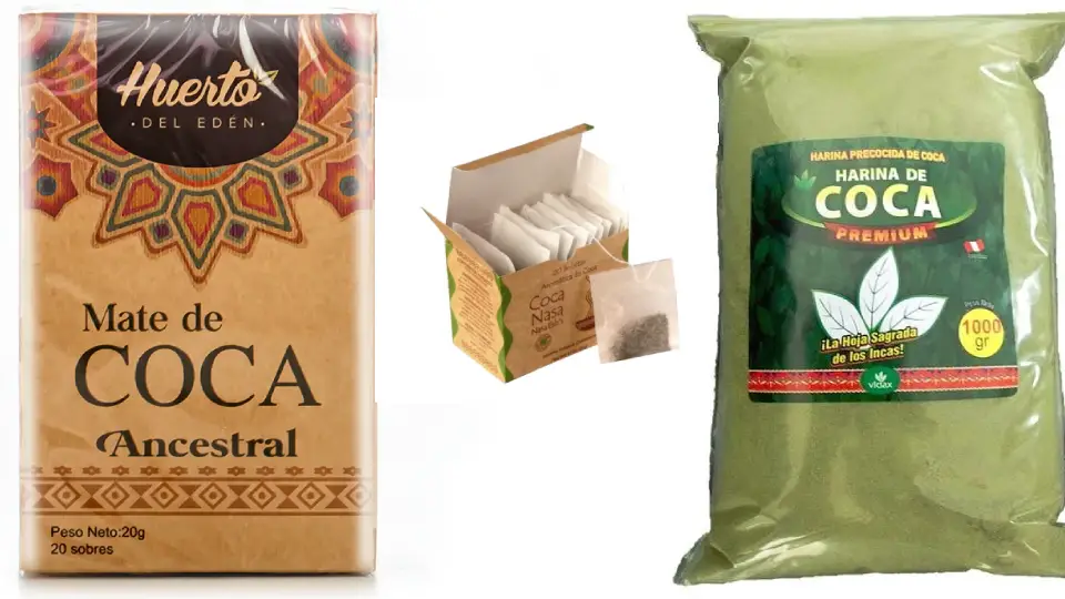 The coca leaf today.